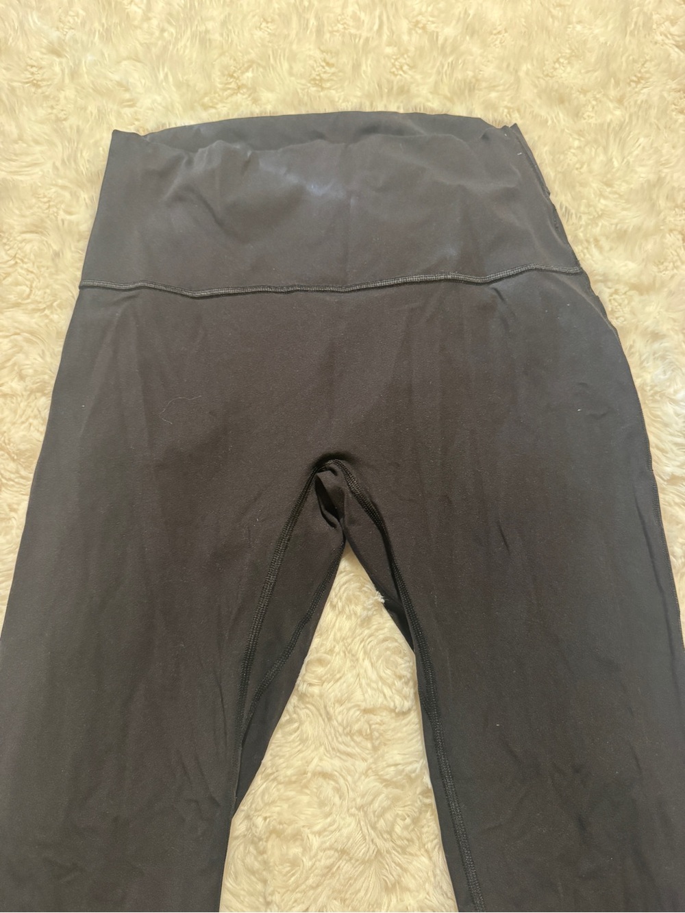 Black Gym Shark Legacy Leggings